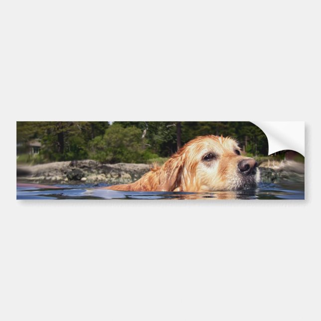 Water Dog - Bumpersticker Bumper Sticker (Front)