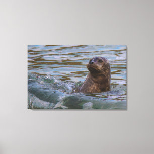 water dog canvas print