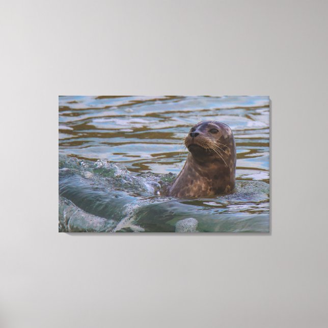 water dog canvas print (Front)