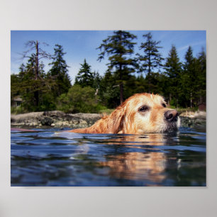 Water Dog - Fine Art Prints