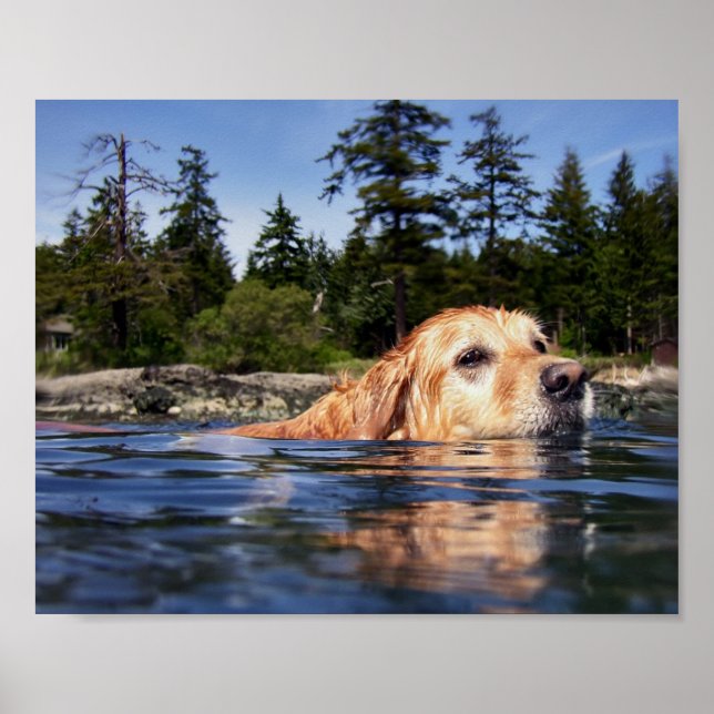 Water Dog - Fine Art Prints (Front)
