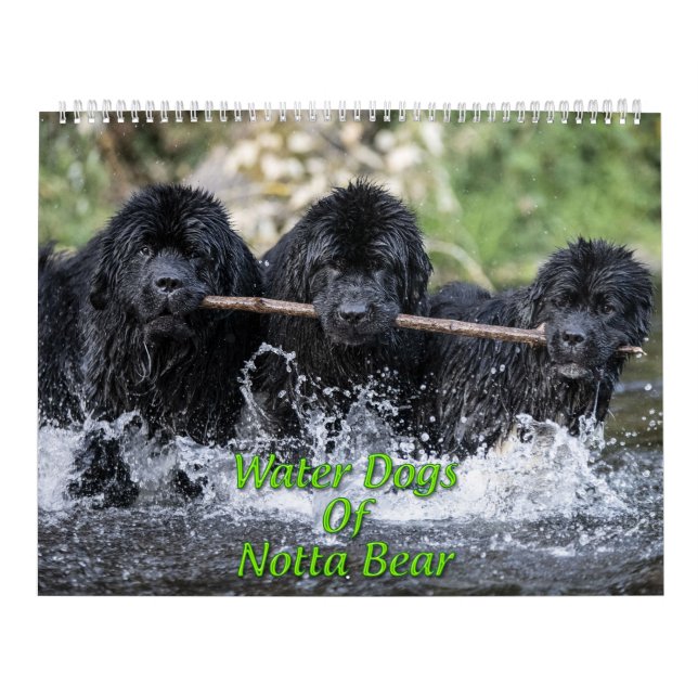 Water Dogs Of Notta Bear Calendar (Cover)