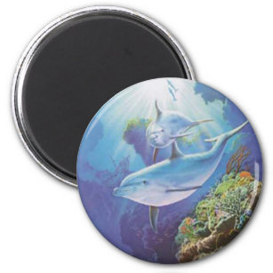 Water Dolphin Magnet