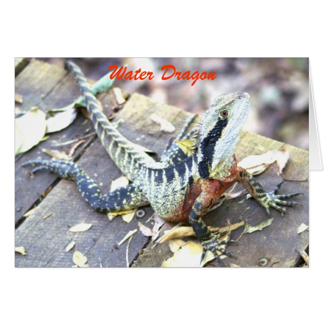 Water Dragon (Front Horizontal)