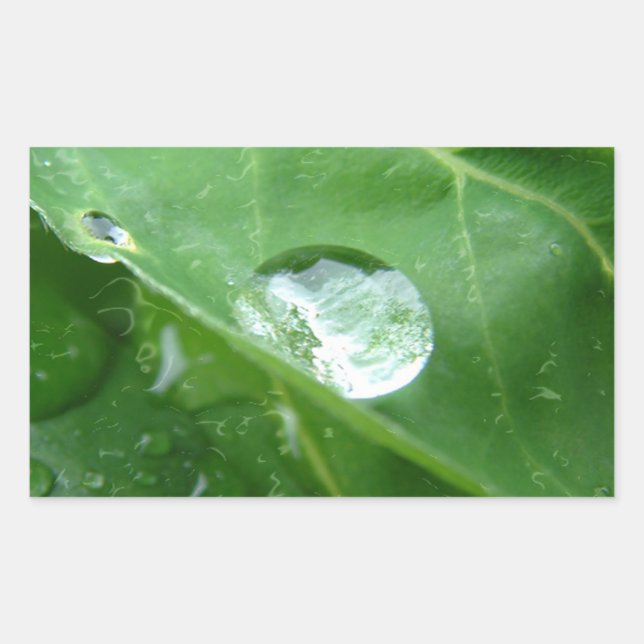 Water Drip on Leaf Water Conservation Design Rectangular Sticker (Front)