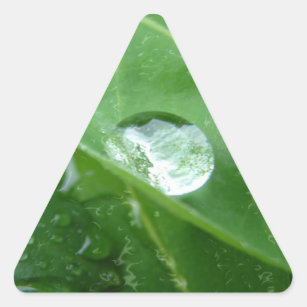 Water Drip on Leaf Water Conservation Design Triangle Sticker