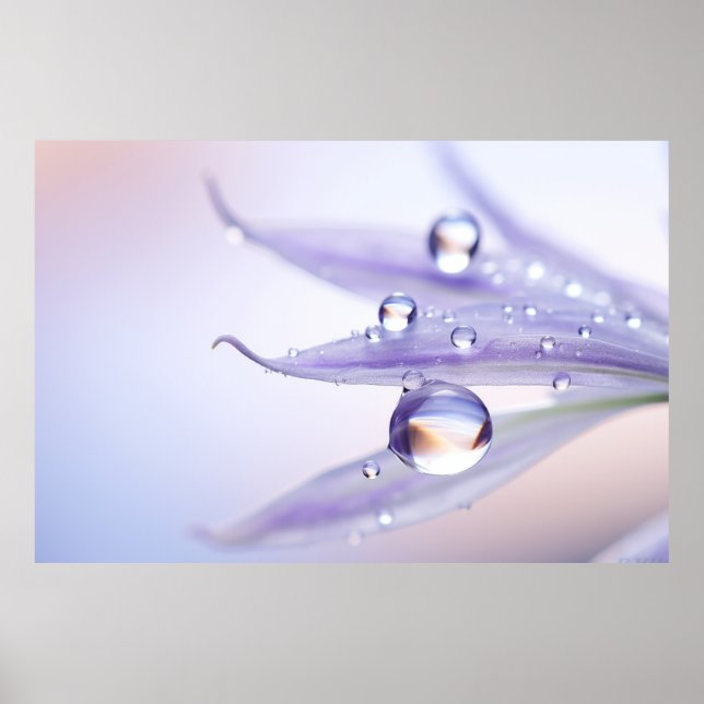 Water Drop Dewdrop Nature Serene Calm Poster (Front)