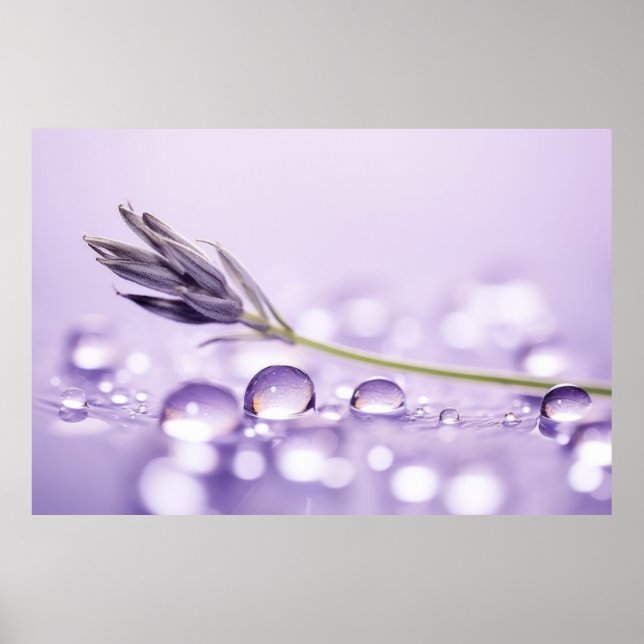 Water Drop Dewdrop Nature Serene Calm Poster (Front)