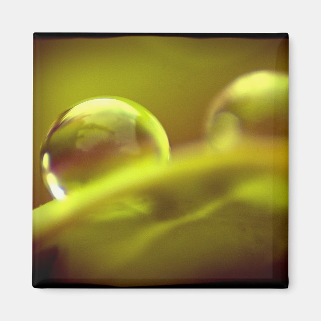 Water Drop Magnet (Front)