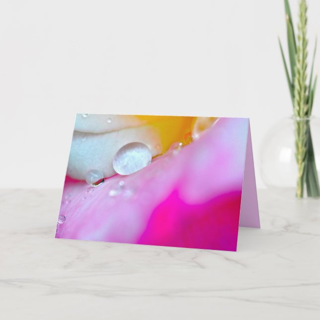Water Drop on Flower Petal Card (Front)