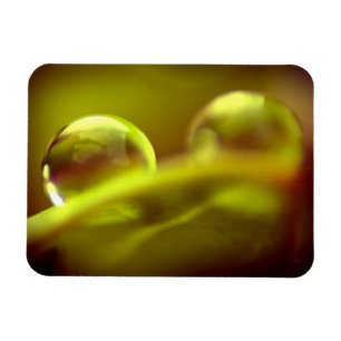 Water Drop Premium Magnet
