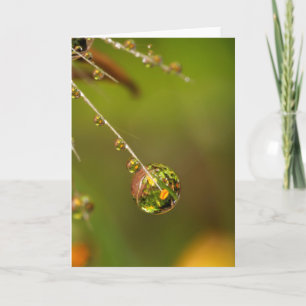 Water Droplet Close Up Card