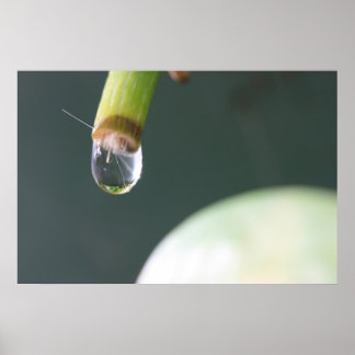 Water Droplet Poster