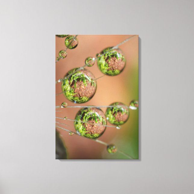 Water Droplet Reflection Canvas Print (Front)