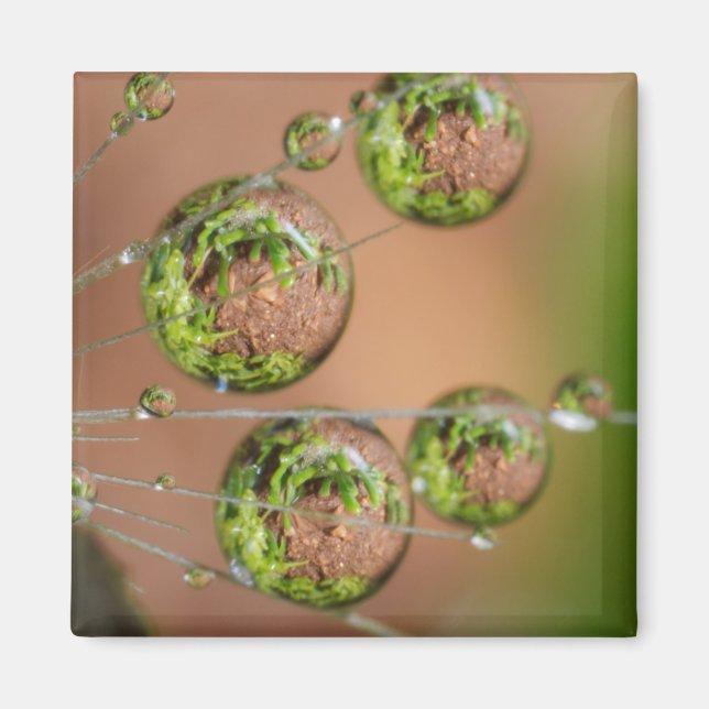 Water Droplet Reflection Magnet (Front)