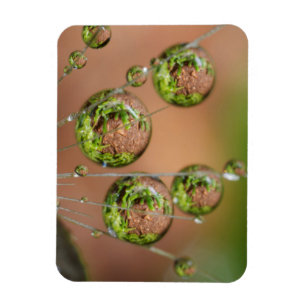 Water Droplet Reflection Magnet