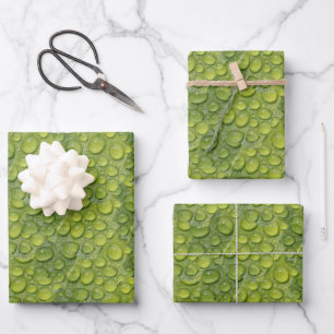 Water Droplets Green Leaf Wrapping Paper Sheet