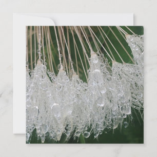 Water droplets holiday card