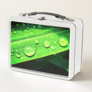 Water Droplets Metal Lunch Box