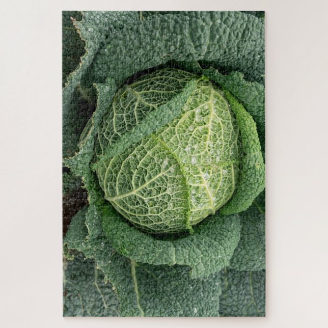 Water droplets on a cabbage jigsaw puzzle (Vertical)