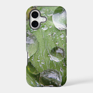 Water droplets on a green leaf