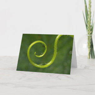 Water Droplets On A Vine Card