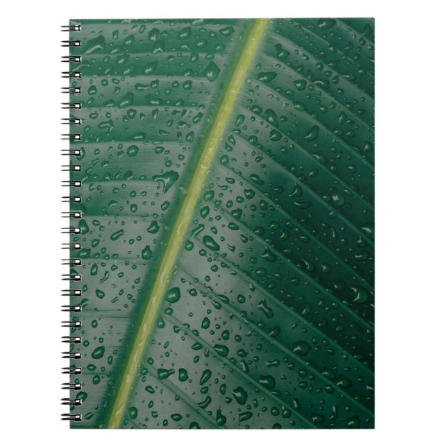 Water droplets on banana leaf notebook (Front)