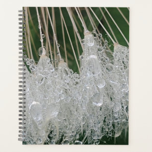 Water droplets planner