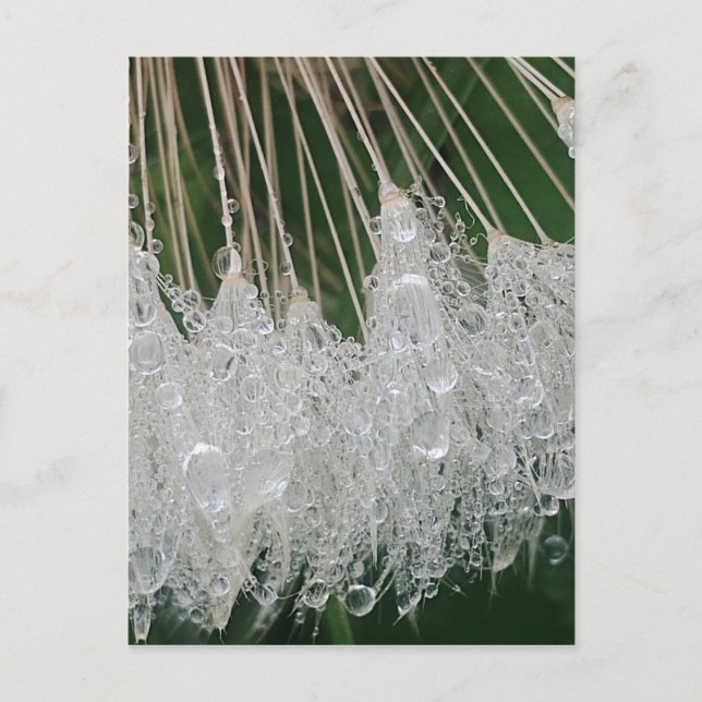 Water droplets postcard (Front)