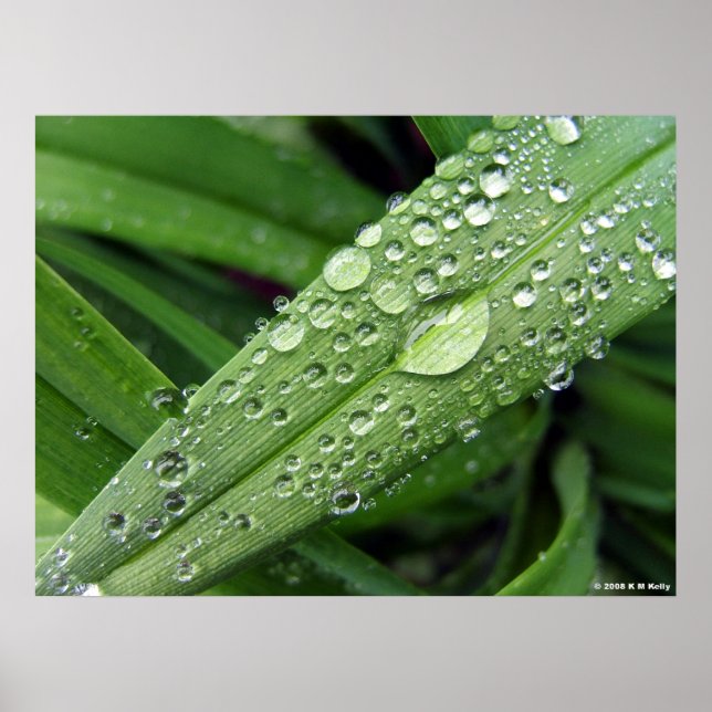 Water Droplets. Poster (Front)