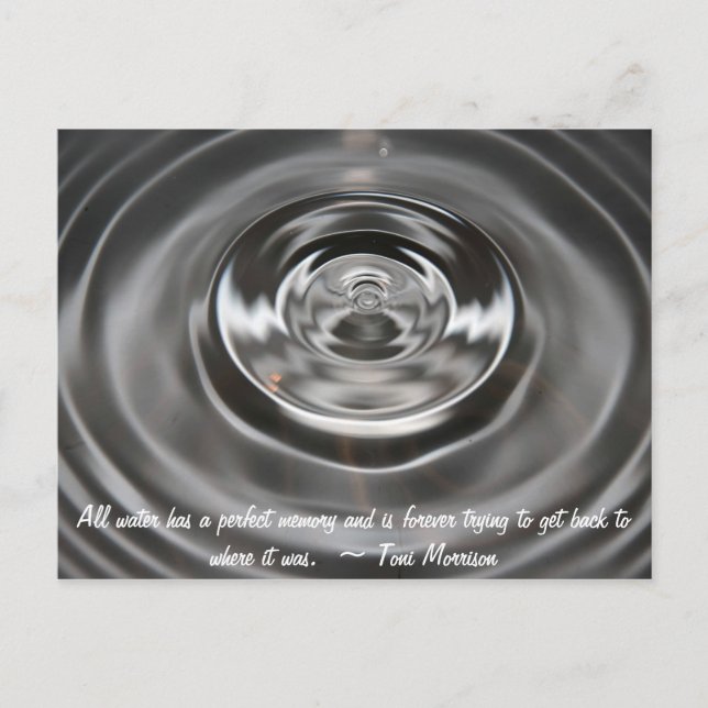 Water Drops and Quotes Postcard (Front)