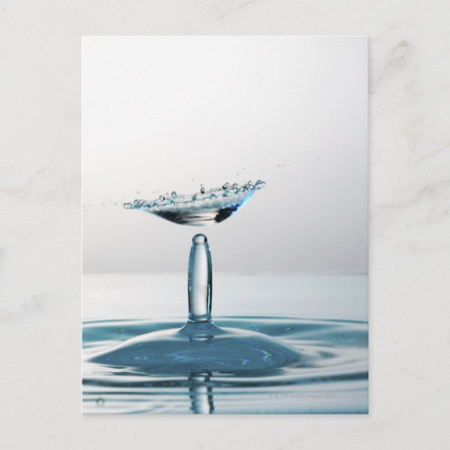 Water drops colliding to shape an umbrella postcard (Front)