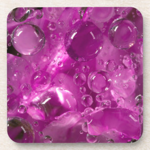 Water drops on flower, California Coaster