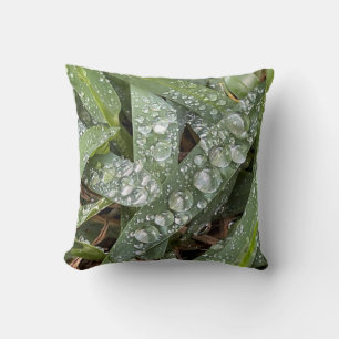 Water drops on grass cushion