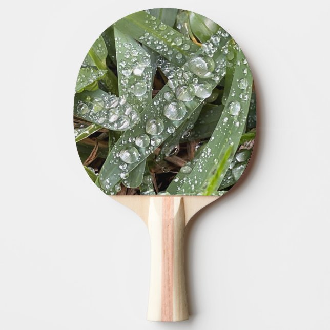 Water drops on grass ping pong paddle (Front)