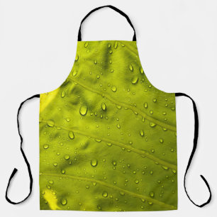 Water drops on green leaf apron