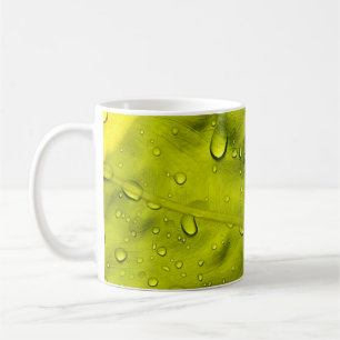 Water drops on green leaf coffee mug