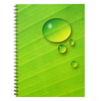 Water Drops on Green Leaf Notebook