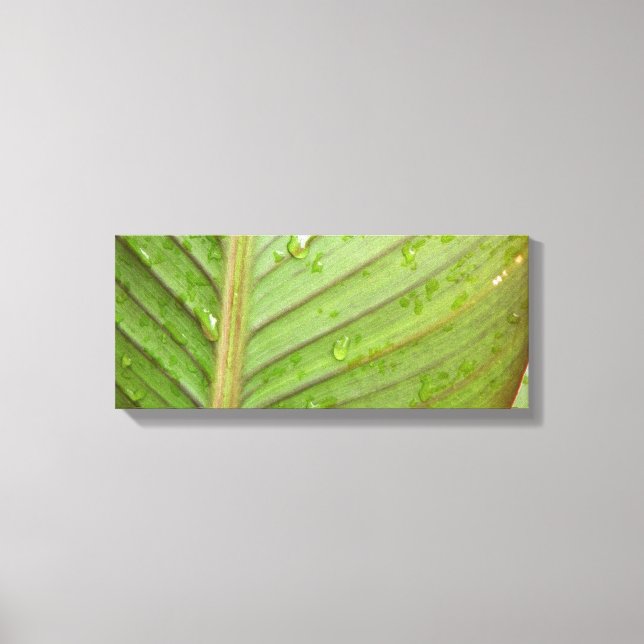 Water Drops on Leaf Photo Canvas Print (Front)