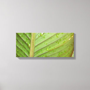Water Drops on Leaf Photo Canvas Print