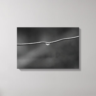 Water drops on wire canvas print