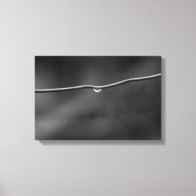 Water drops on wire canvas print (Front)