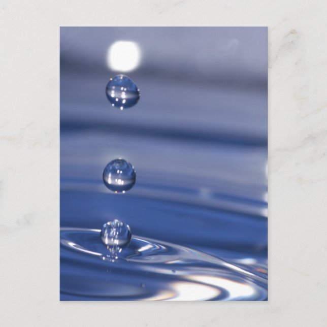 Water Drops Postcard (Front)