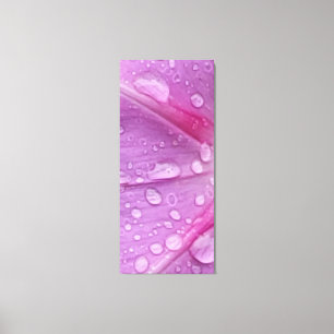Water Drops Stretched Canvas Print