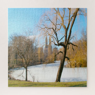 Water Feature Central Park New York Jigsaw Puzzle