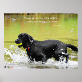 Water Fetch Poster