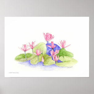 Water Flowers Poster