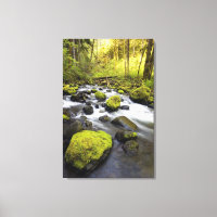 Water Flowing By Moss Covered Rocks In A Stream