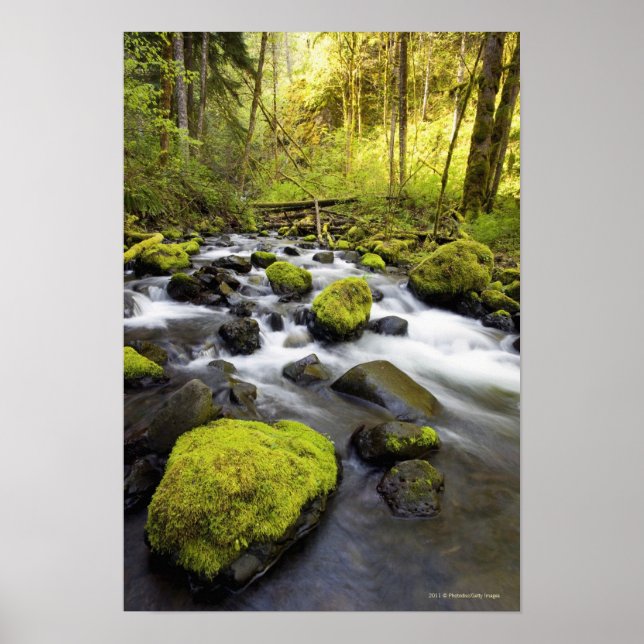 Water Flowing By Moss Covered Rocks In A Stream Poster (Front)