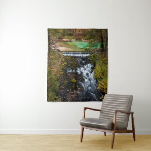 Water flowing through autumn forest tapestry